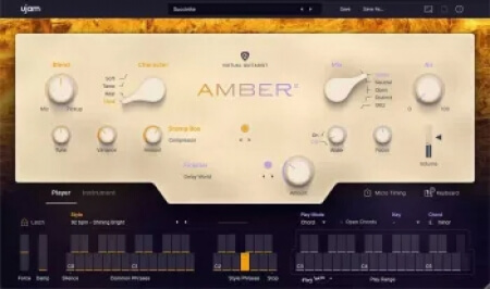 UJAM Virtual Guitarist AMBER2 v2.1.1 WiN