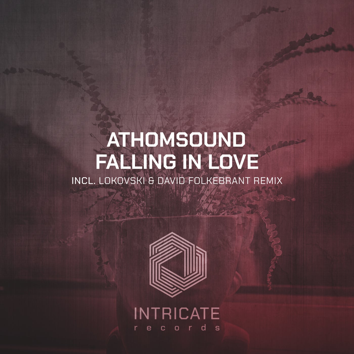 ATHOMsound – Falling in Love [INTRICATE406]