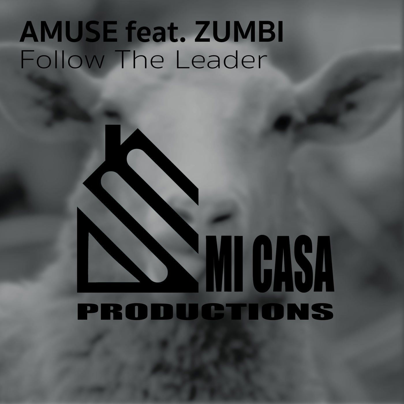 Amuse – Follow The Leader [MCP00011]