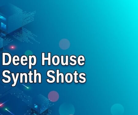AudioFriend Deep House Synth Shots WAV