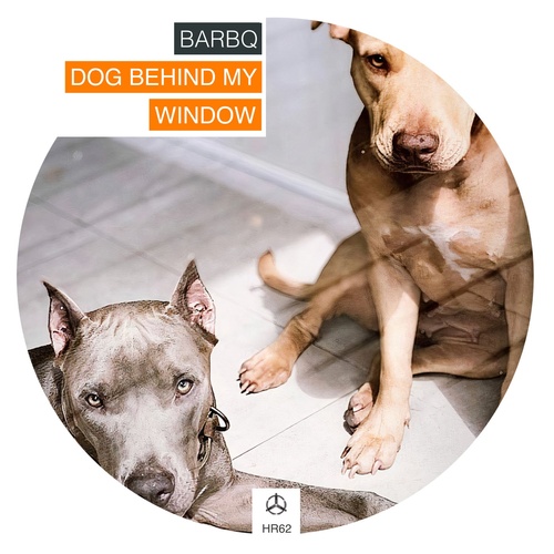 BarBQ - Dog Behind My Window [10199528]