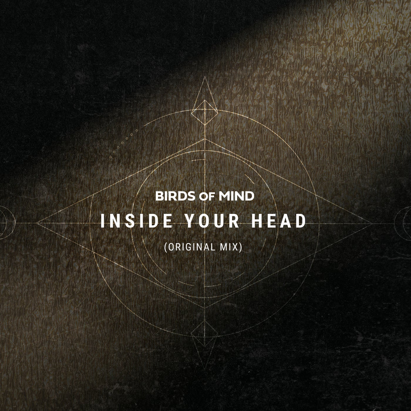 Birds of Mind – Inside Your Head [KD209]