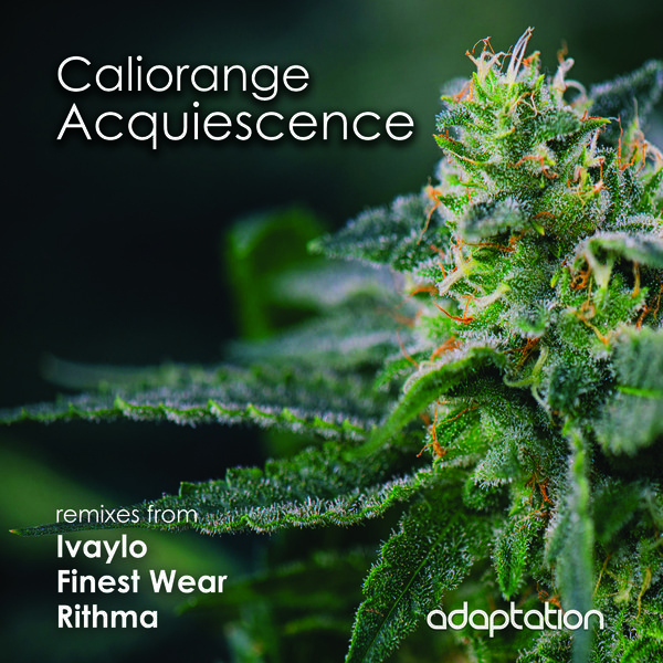 Caliorange, Tom Conrad, Matt Correa - Acquiescence [AM106]
