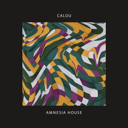 Calou - Amnesia House [STRAIGHTAHEAD019]