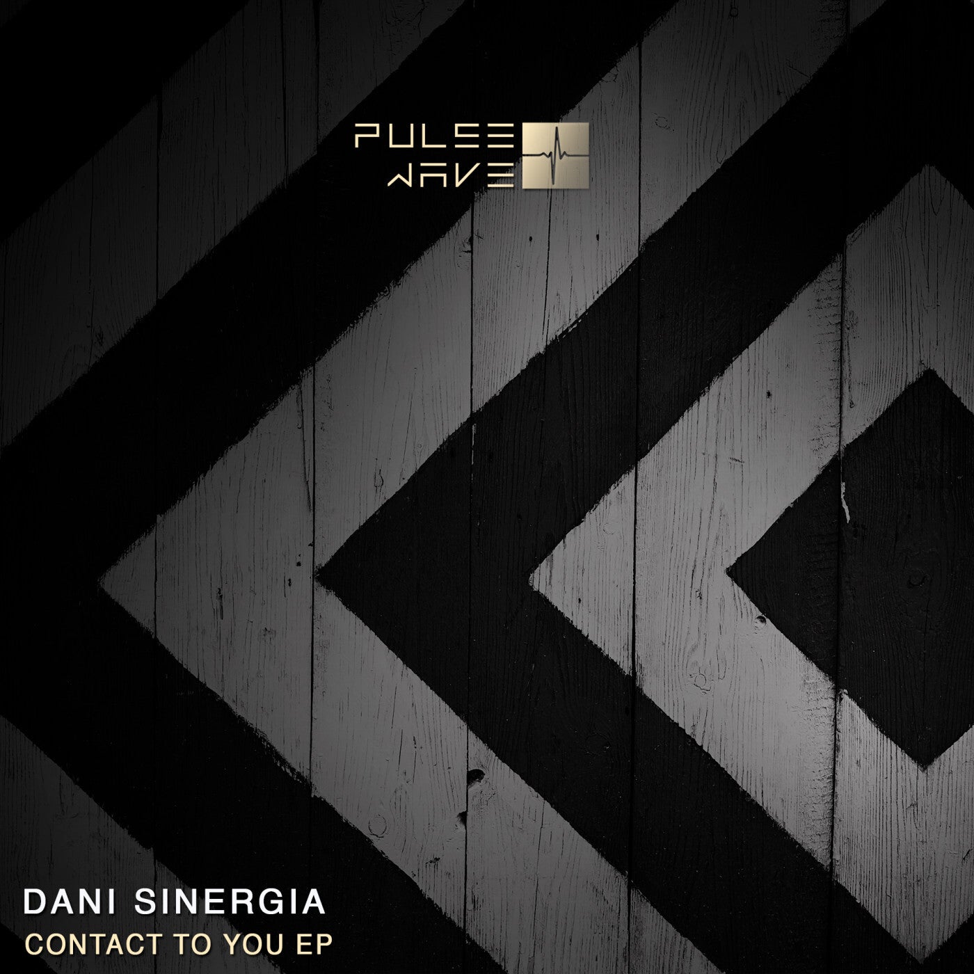 Dani Sinergia – Contact To You EP [PW062]