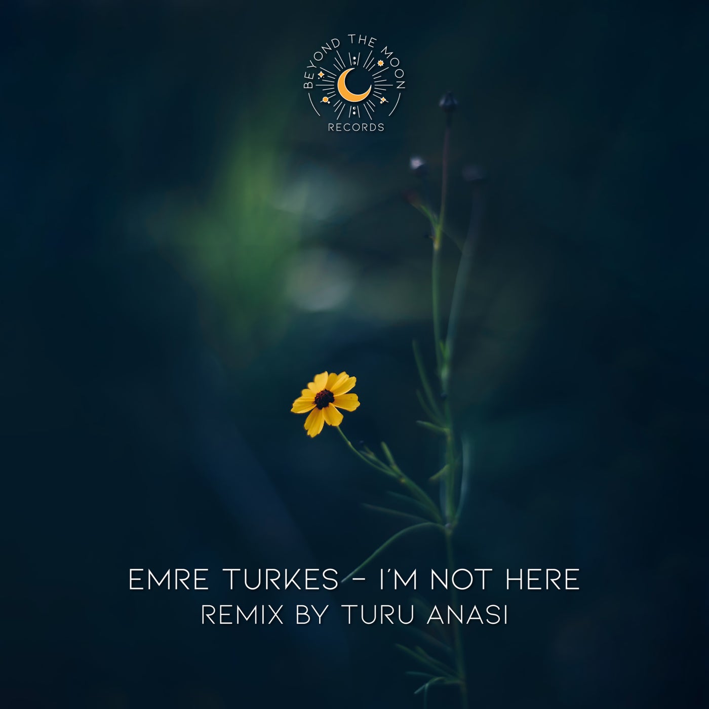 Emre Turkes – I’m Not Here [BTM010]