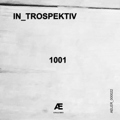 In_Trospektiv - 1001 [AELER00022]