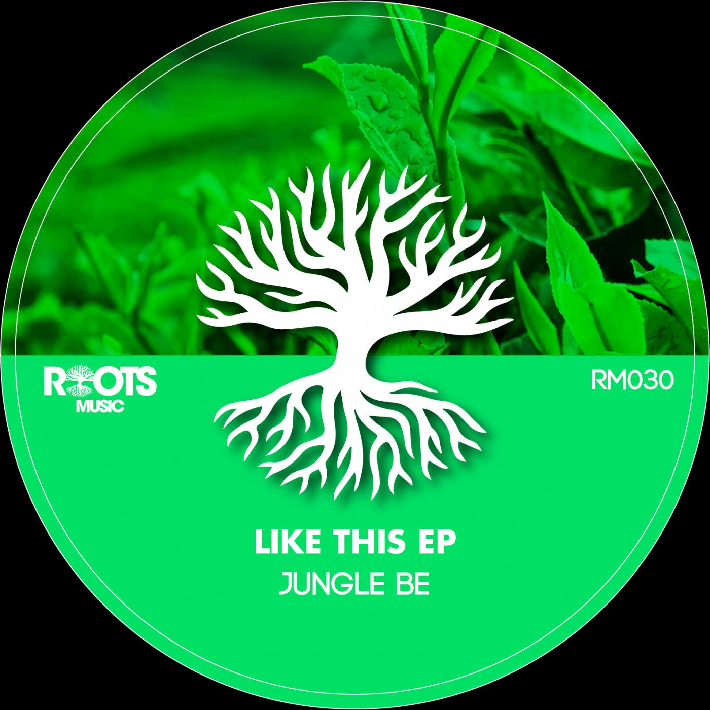 Jungle Be – Like This EP [RM030]