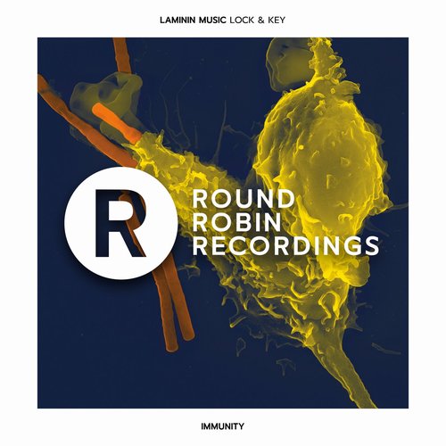 Laminin Music - Lock & Key [RRR041]
