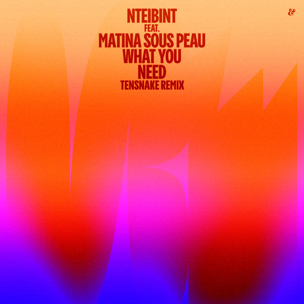 NTEiBINT, Matina Sous Peau - What You Need (Tensnake Remix) [541416512936D]