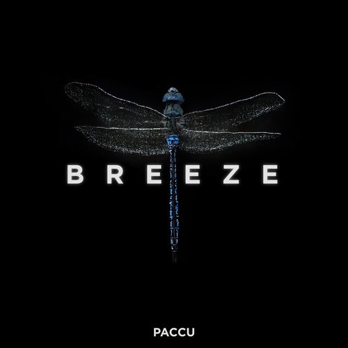 Paccu - Breeze [197272167231]