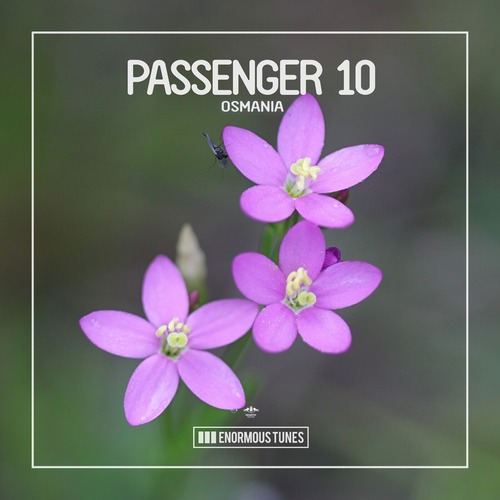 Passenger 10 – Osmania [ETR614]