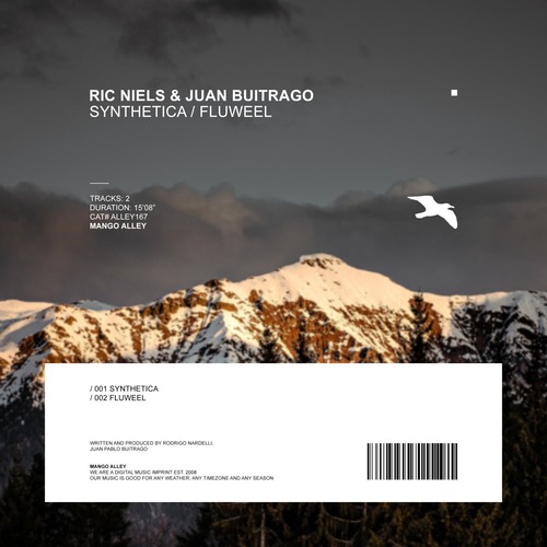 Ric Niels & Juan Buitrago – Synthetica / Fluweel [ALLEY167]
