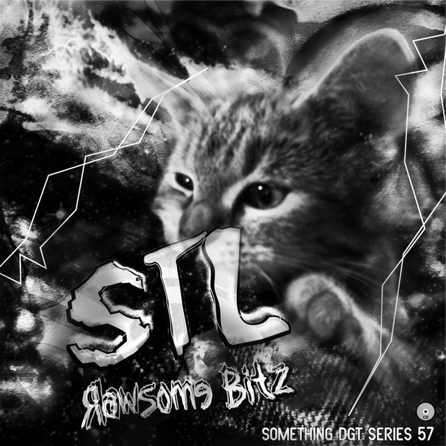STL – Rawsome Bitz [SOMETHINGDGTSERIES57]