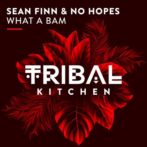 Sean Finn, No Hopes - What a Bam [TK127]