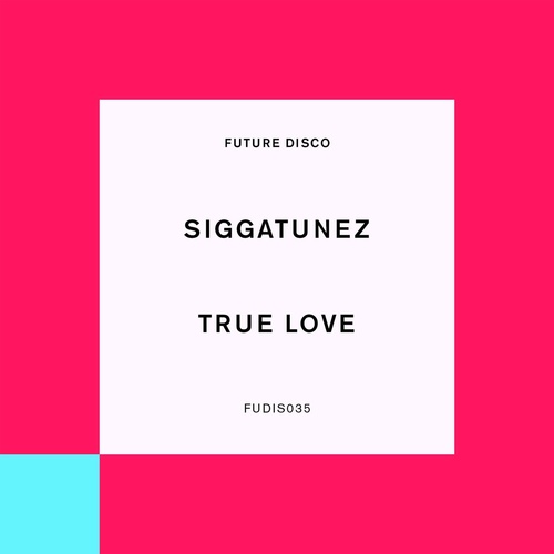 Siggatunez - True Love (feat. Vany T Fair) [Extended Mixes] [190296787645]