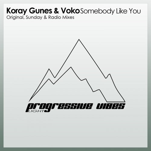 Voko, Koray Gunes - Somebody Like You [PVM288L]