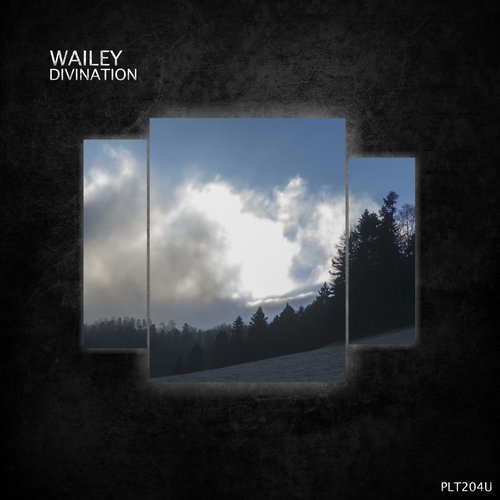 Wailey - Divination [PLT204U]