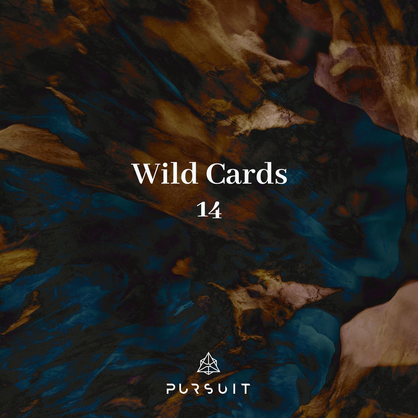 VA - Wild Cards 12 [PRST050]