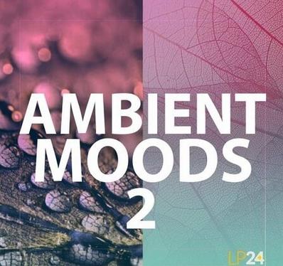 Lp24 Ambient Moods 2 WAV