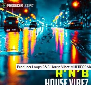 Producer Loops R&B House Vibez MULTiFORMAT