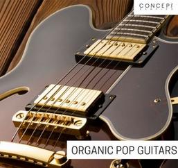 Concept Samples Organic Pop Guitars WAV