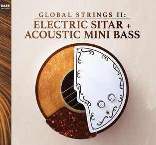 RARE Percussion Global Strings Vol.2: Electric Sitar and Mini Bass WAV