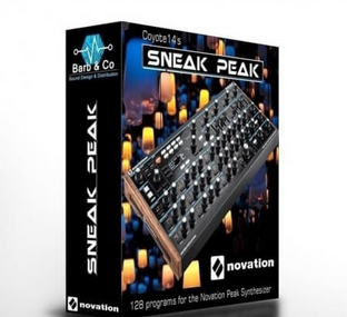 Barb and Co Sneak Peak Synth Presets