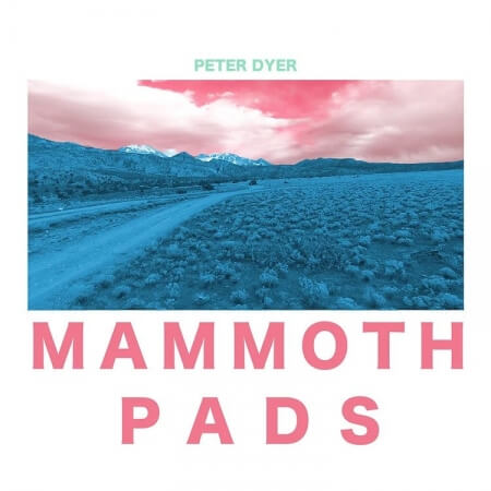 Peter Dyer MAMMOTH PADS for Prophet Rev2 Synth Presets