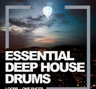 Dirty Music Essential Deep House Drums WAV