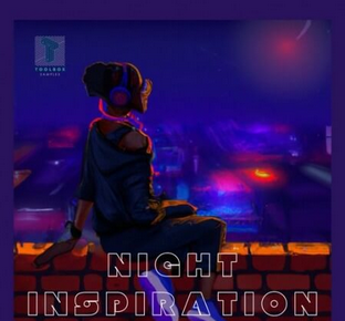 Toolbox Samples Night Inspiration WAV