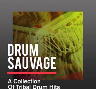 Sonicycle Sonicycle - Drum Sauvage - A Collection Of Tribal Drum Hits WAV