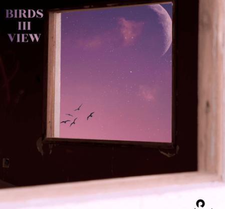 Rudenote Birds iii View WAV