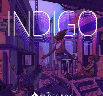 AudeoBox Indigo WAV