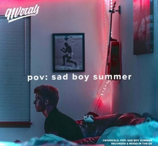 91Vocals pov sad boy summer WAV