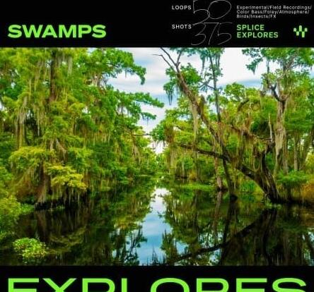 Splice Explores Swamps WAV