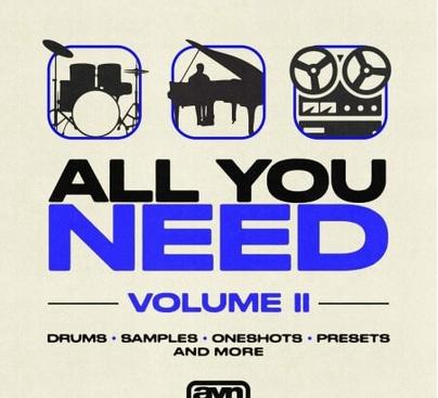 AYN Sounds All You Need Vol. II WAV MiDi Synth Presets