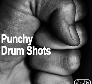 AudioFriend Punchy Drum Shots WAV