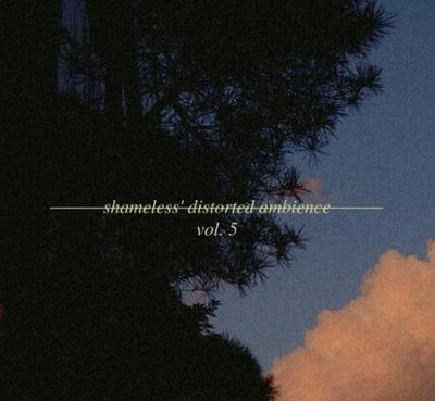 shameless. Distorted Ambience Sample Pack Vol.5 WAV