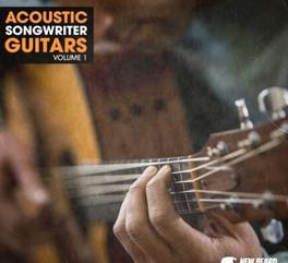 New Beard Media Acoustic Songwriter Guitars Vol 1 WAV