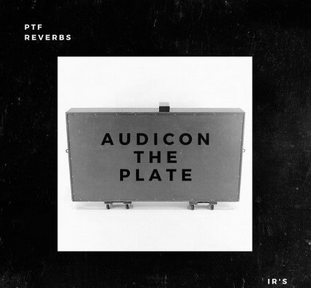 PastToFutureReverbs Audicon The Plate“ Tennessee Reverb IR's!