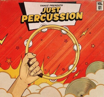 Tamuz Just Percussion Vol.1 WAV