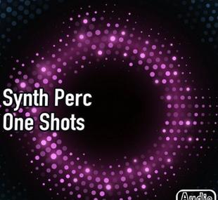 AudioFriend Synth Perc One Shots WAV