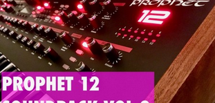 Arthur Fussy Prophet 12 Patches Vol.2 Synth Presets