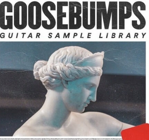 Polar Beats Goosebumps Guitar Sample Pack WAV