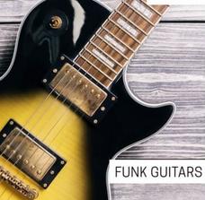 Concept Samples Funk Guitars WAV