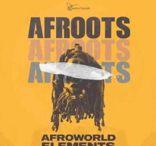 Maestro Sounds Afroots Afroworld Elements WAV MiDi