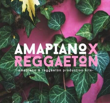 Samplestar Amapiano X Reggaeton WAV