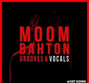 Get Down Samples Moombahton Grooves & Vocals WAV MiDi