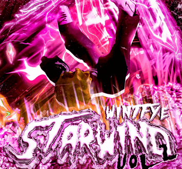 wintfye StarWind stash kit Vol.2 Ultimate WAV Synth Presets DAW Templates MiDi